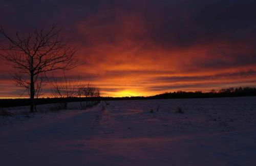 Komfort & Natur in Dankerodeim Holzhaus Andi - Foto 32