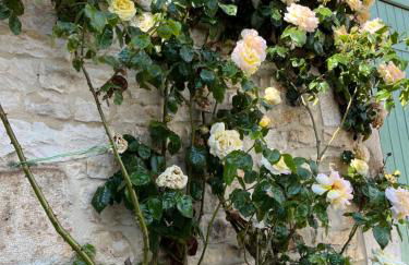 Le Gite de Tassigny - Foto 14