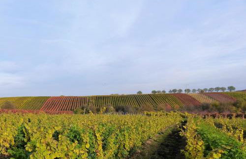 Apartment An der Weinstraße - Foto 25