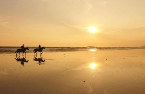 Ancienne maison de pêcheur à deux pas des plages - Foto 22