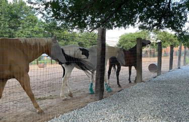 Chasing Sunsets and Serenity - Foto 8