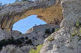 Apartahotel Valle de Rodellar - Foto 55