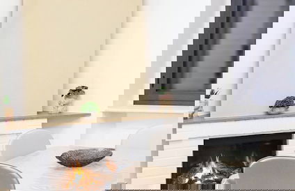 La Cartolina del Sannio - Foto 27