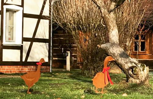 Spreewaldinsel Leipe - Foto 16