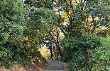 Loft atypique - Foto 20