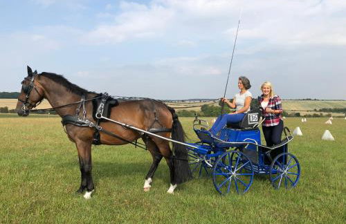 The Dinton Dovecote - Foto 30