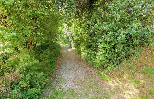 Gite in Romefort Near Lac de Vassiviere - Foto 25