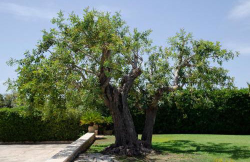 Antica Dimora Arancio Val Di Noto 10 minuti dal mare Free Parking - Foto 50