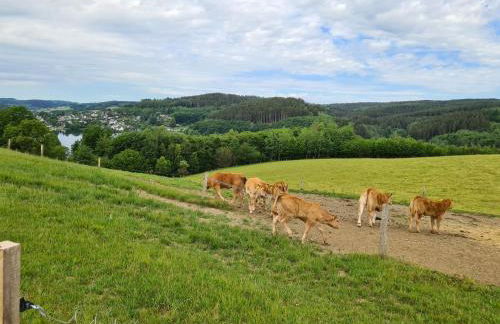 Große 3-Zimmer Wohnung Biggesee- Olpe ideal für Teams oder Familien - Foto 34