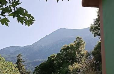 Manganiari Springs Cabin Retreat - Photo 12