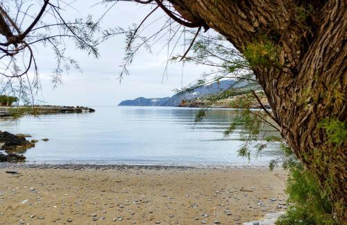 Tholos Alexandra's Beachfront House - Foto 15