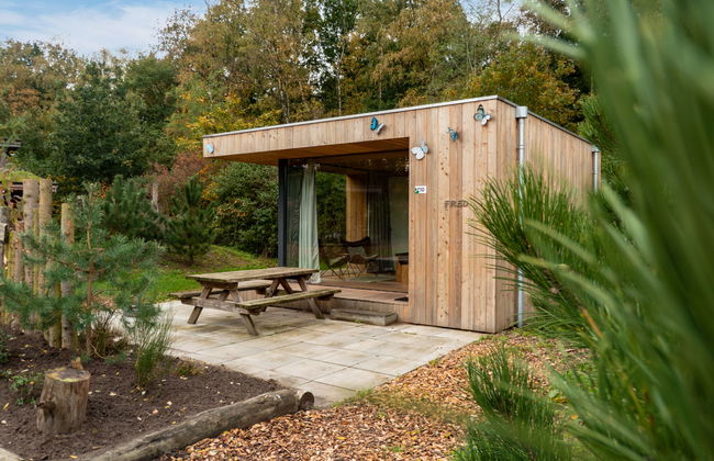 1 bedroom House in Otterlo with swimming pool and terrace - Photo 5