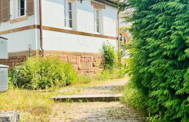 Cloud 9 , Apartment mit Garage und Garten in Nähe der Uniklinik, Bosch, Ina Schaeffler - Foto 21