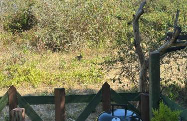 The Velvet Hideaway - Foto 23