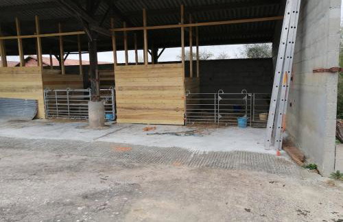 Maison Trichard - Photo 77