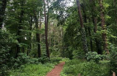 Strandstraße H3W6 Kölpinsee - Foto 41