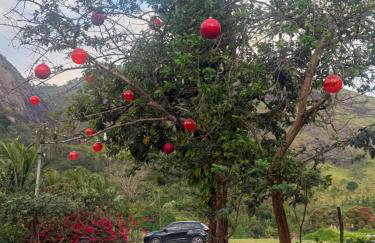 Apt Flat 225 Condomínio Pedra do Rodeadouro - Foto 6