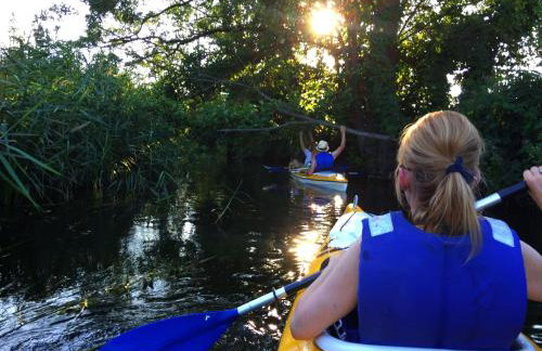 Apartamenty pod Wiciokrzewem - Foto 15