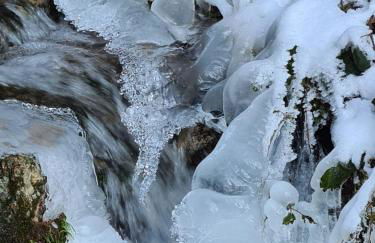 Waldblick Ferienwohnungen - Foto 11