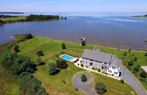 The Birds Nest - Foto 1