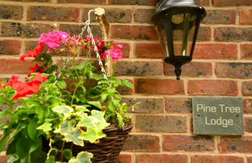 Pine Tree Lodge, Bridgnorth - Foto 61