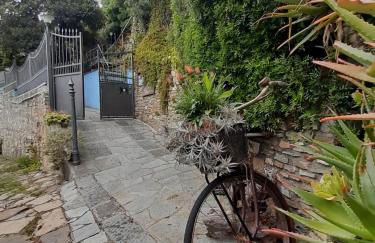 Ca dell'acciuga - Foto 24