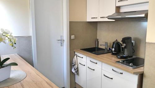 Fewo Zur Goldenen Traube - Foto 5