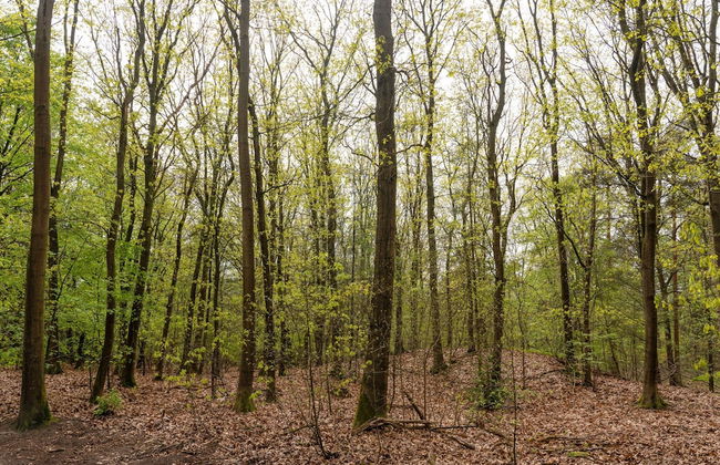 Beautiful Holiday Home With Spacious Garden - Photo 39