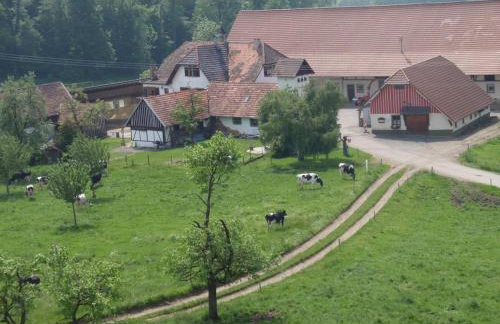 Große Ferienwohnung in altem Gutshaus - Foto 15