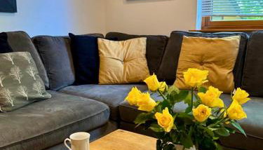 Acorn Lodge for Six with Hot Tub - Devon - Foto 5