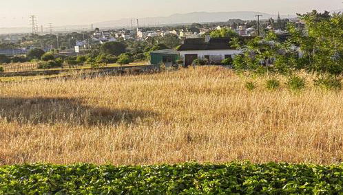 Casinha do Chico - Foto 3