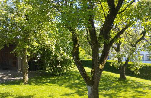 Landkate im Dorfkern - Foto 5