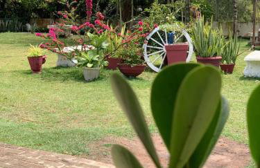 Nega Joana - Foto 23