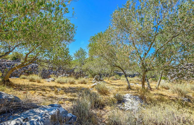 House Volak - Foto 63