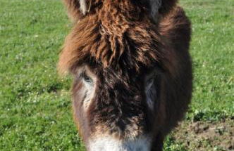 Casa Artorena, acogedora casa rural en pleno corazón del valle de la Ultzama - Foto 49