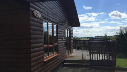 Silver Birch Lodge With Hot Tub Near Cupar, Fife - Foto 5