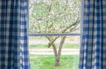 Onkel-Blau-Ferien-in-Troja - Foto 4