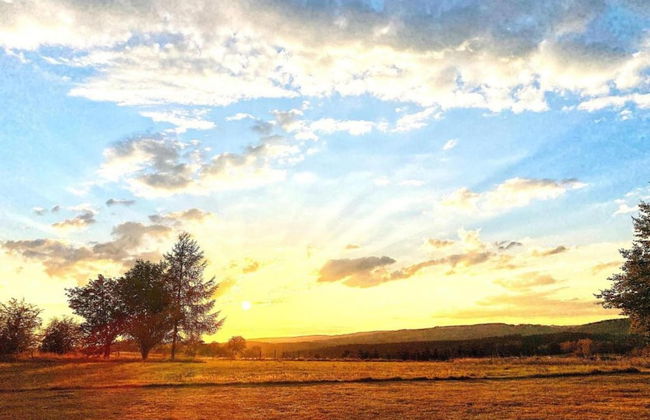 Holiday Home in Houffalize Near Nisramont - Photo 23