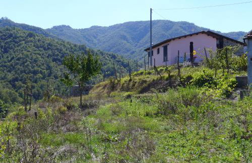 Mini Appartement Colombana - Foto 3