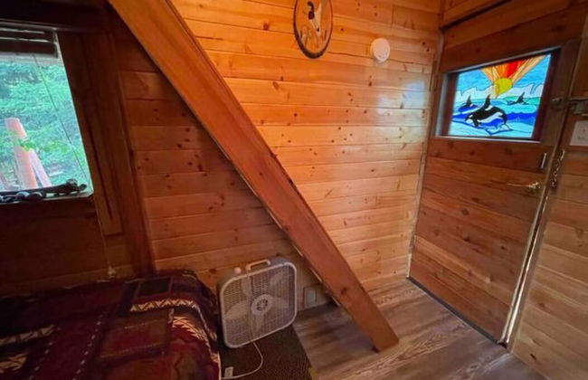 Moose Landing - Foto 7