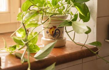 Corte L'Ovo - Historic Country House 15 min from the heart of Verona - Foto 29