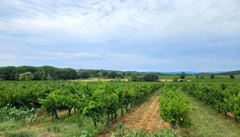 Domaine Roulotte Farigoule - Foto 5