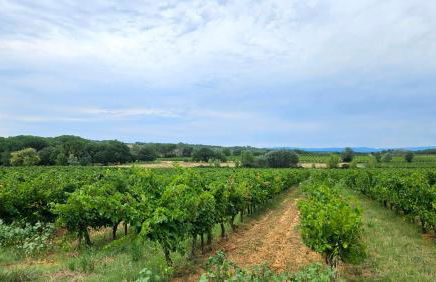 Domaine Roulotte Farigoule - Foto 5