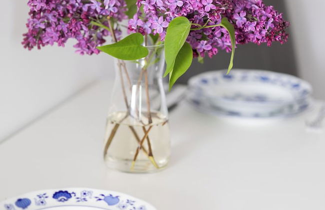 Charming Studio for 2 Persons by Renters - Foto 2