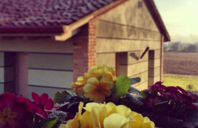 Agriturismo Bassanine - Foto 39