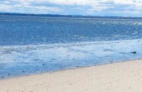 SixtyNine Beach Cottage - Foto 29