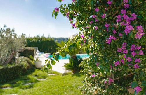 Villa dei Gruccioni - YourPlace Abruzzo - Foto 37