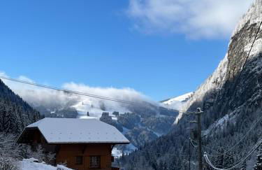 Chalet Les Lanchettes - Foto 15