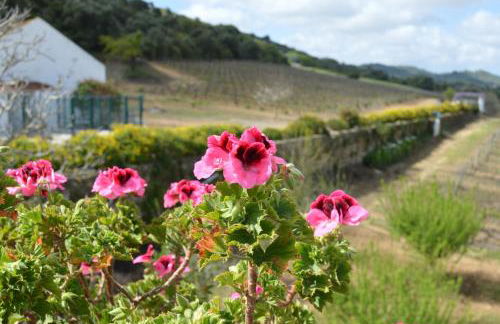 Quinta do Piloto - Foto 4