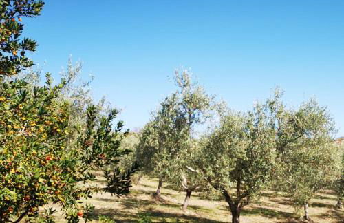 VILLA ALESSI - dimora storica - Foto 4